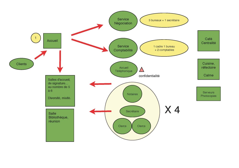 7-organigramme-office-notarial